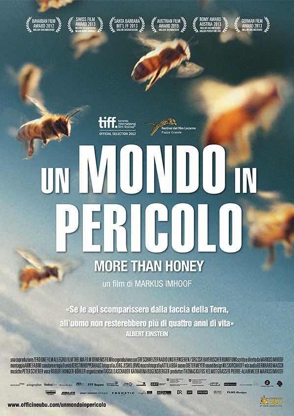 Edizione DVD di Un mondo in pericolo