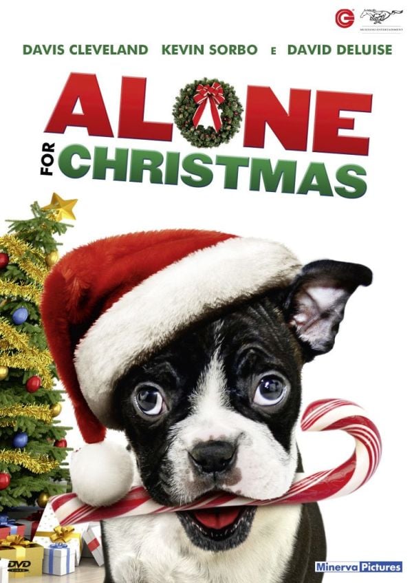 Edizione DVD di Alone for Christmas