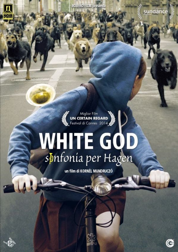 Edizione DVD di White God – Sinfonia per Hagen