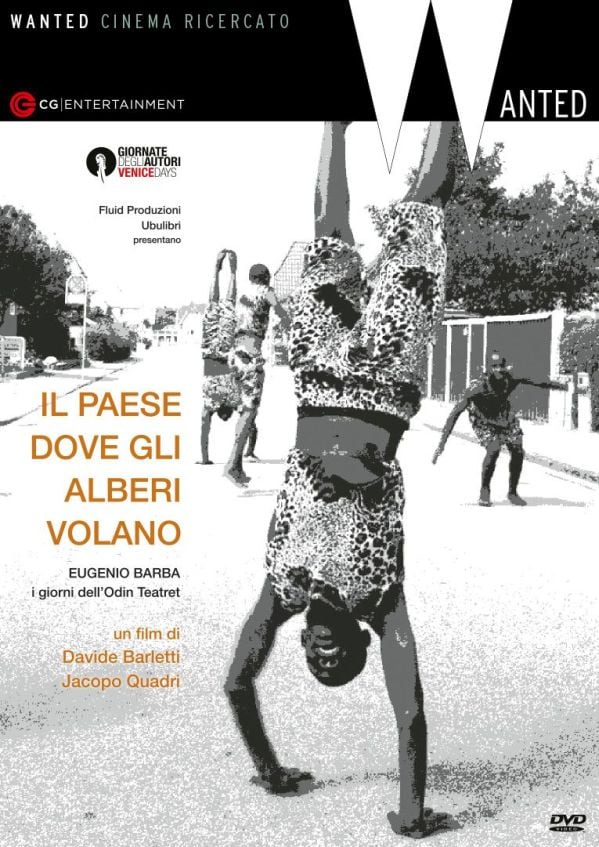 Edizione  di Il paese dove gli alberi volano