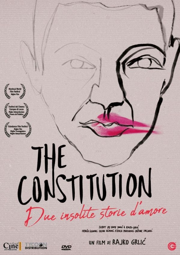 Edizione DVD di The Constitution – Due insolite storie d’amore