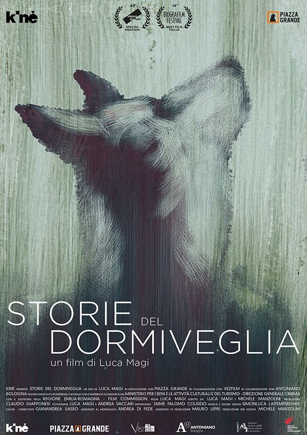 Edizione  di Storie del dormiveglia