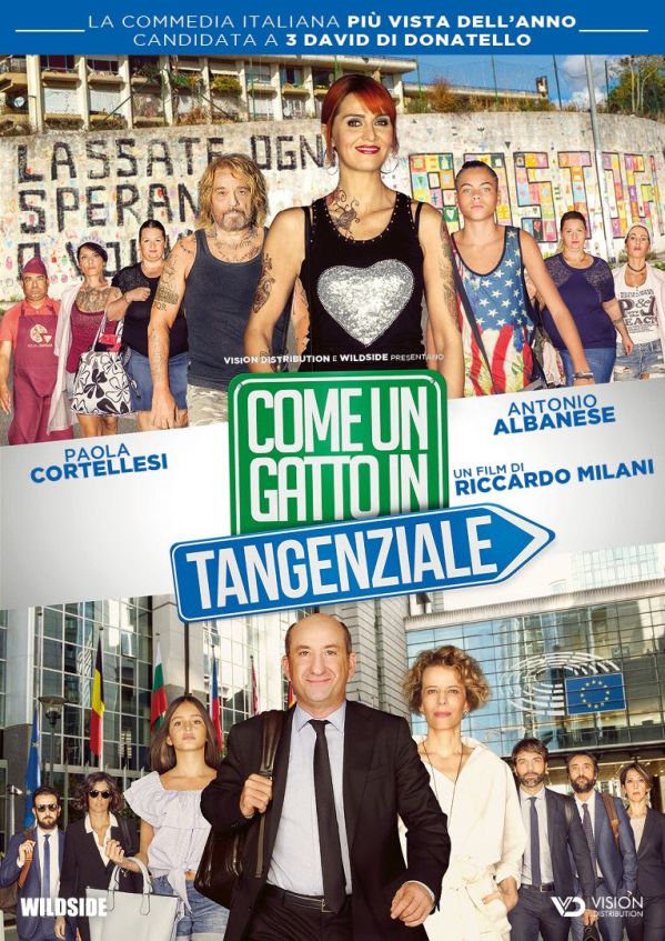 Edizione DVD di Come un gatto in tangenziale