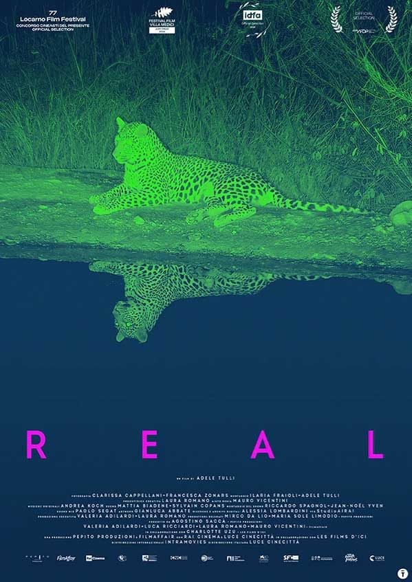 Edizione  di Real