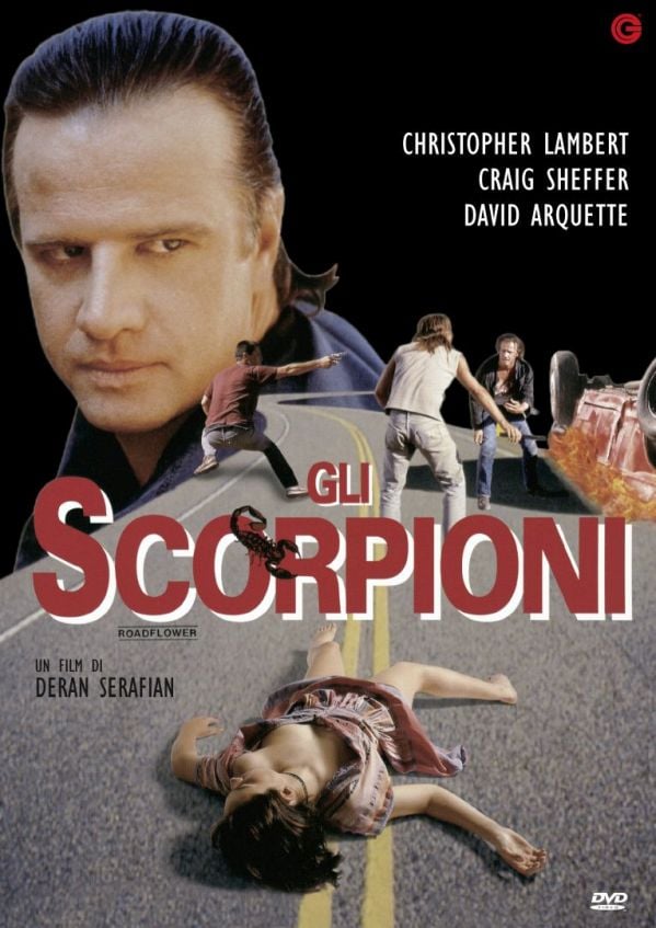 Edizione DVD di Gli scorpioni