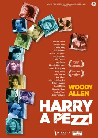 Locandina di Harry a pezzi (1997)