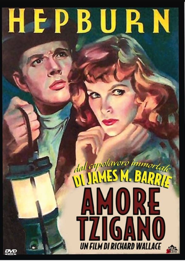 Edizione DVD di Amore Tzigano