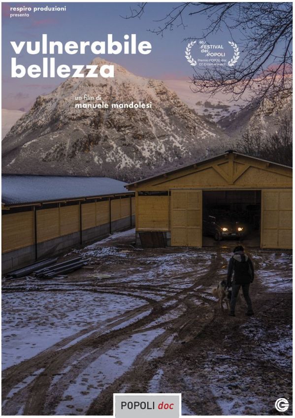 Edizione DVD di Vulnerabile bellezza