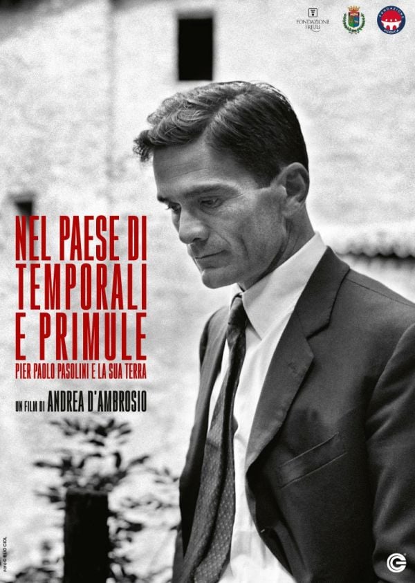 Edizione  di Nel paese di temporali e primule