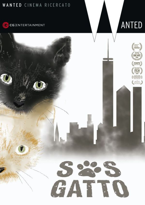 Edizione DVD di S.O.S. Gatto