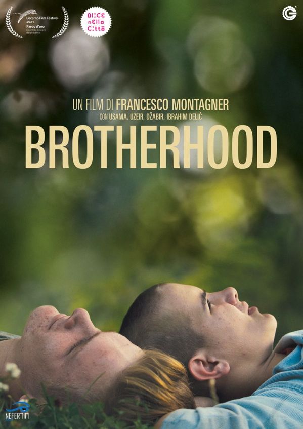 Edizione DVD di Brotherhood