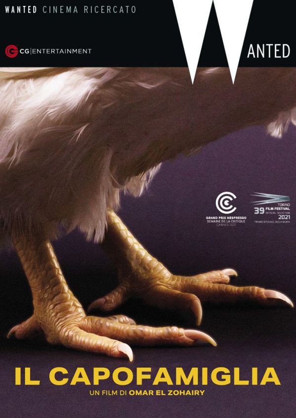 Edizione DVD di Il capofamiglia