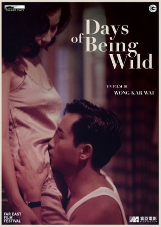 Locandina di Days of being wild (1990)