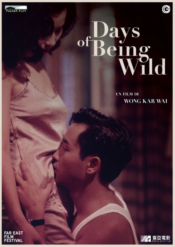 Edizione DVD di Days of being wild