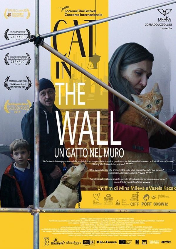 Edizione  di Cat in the Wall: Un gatto nel muro