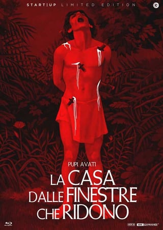 Locandina di La casa dalle finestre che ridono (1976)