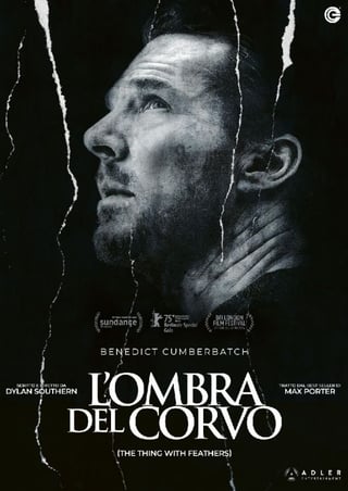 L’ombra del corvo
