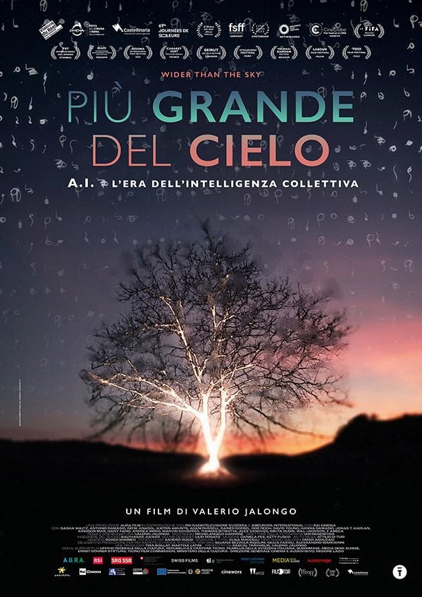 Edizione DVD di Wider than the Sky – Più grande del cielo