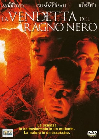 Locandina di La vendetta del ragno nero (2001)
