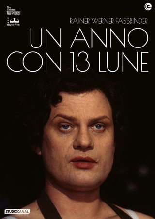 Un anno con 13 lune