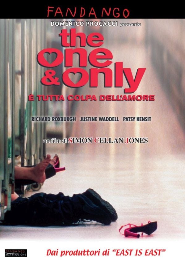 Edizione DVD di The one & only – E’ tutta colpa dell’amore