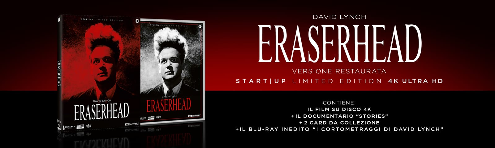 Eraserhead (La mente che cancella)