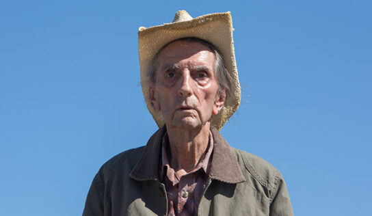 La carriera del grande Harry Dean Stanton in 10 film